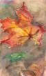 Herbstblatt_Aquarell_Eichel_2009_600px_300dpi.jpg