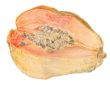 Papaya_Skizze_600px_300dpi.jpg